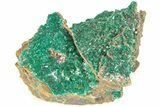 Sparkling Dioptase Crystal Cluster - N'tola Mine, Congo #209686-1